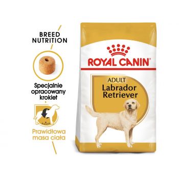ROYAL CANIN LABRADOR RETRIEVER ADULT KARMA SUCHA DLA PSÓW DOROSŁYCH RASY LABRADOR RETRIEVER, POWYŻEJ 5 ROKU ŻYCIA 3 KG