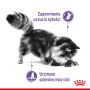 ROYAL CANIN CAT APPETITE CONTROL W SOSIE 85G