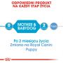 ROYAL CANIN Starter Mousse Mother & Babydog karma mokra - mus, dla suk w czasie ciąży, laktacji oraz szczeniąt 195 G