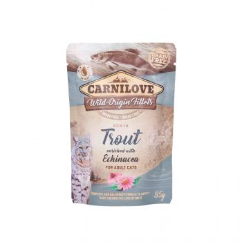 CARNILOVE KOT SASZETKA TROUT & ECHINECEA 85G