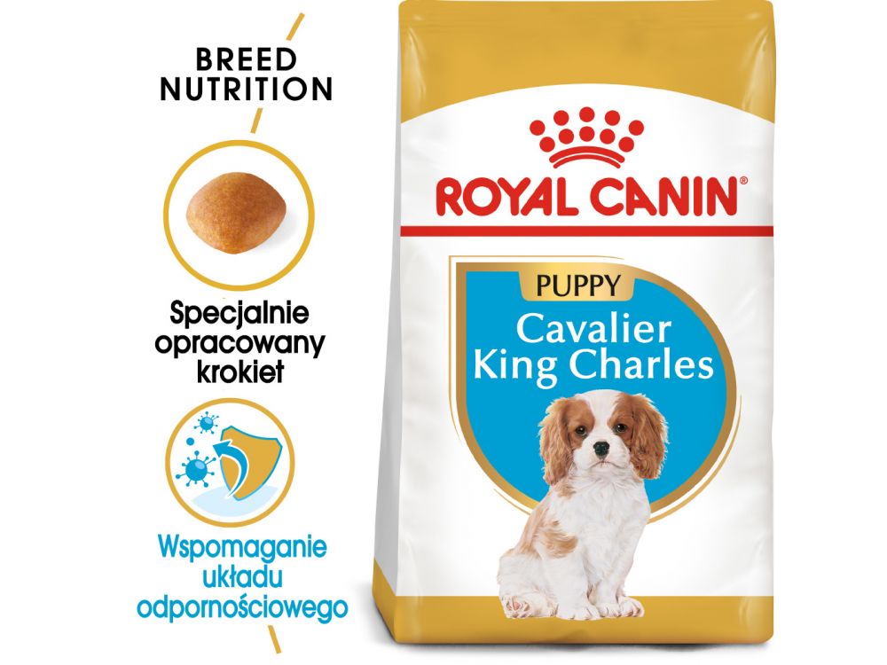 ROYAL CANIN Cavalier King Charles Spaniel Adult karma sucha dla szczeniąt do 10 miesiąca, rasy cavalier king charles spaniel 1,5 KG