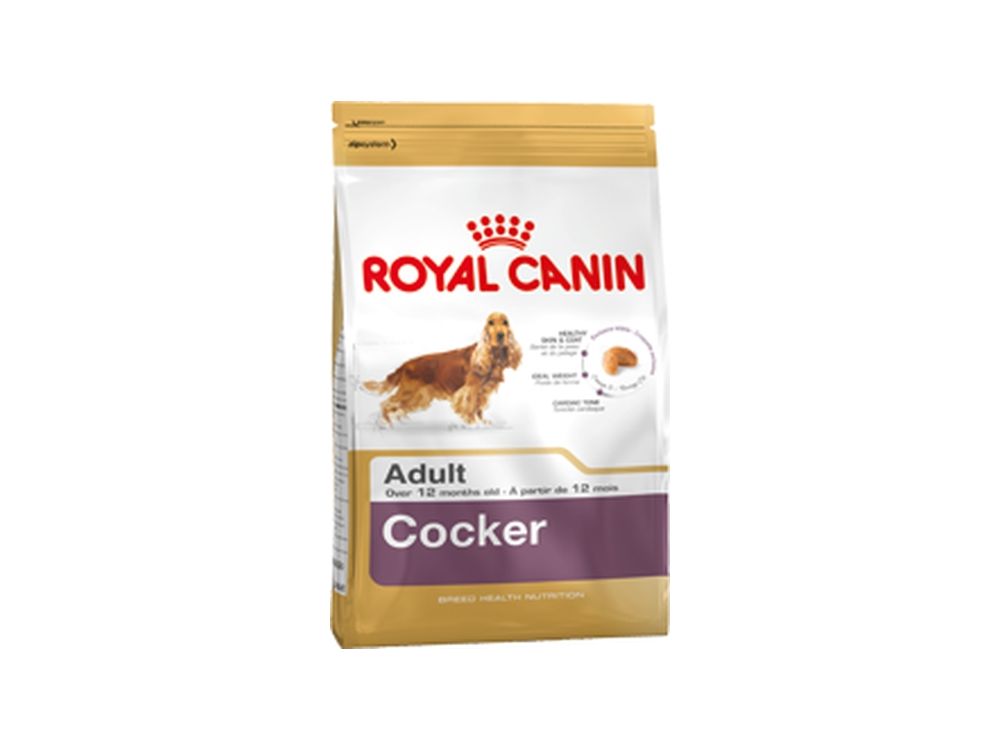 ROYAL CANIN Cocker Spaniel Adult karma sucha dla psów dorosłych rasy cocker spaniel 12 KG