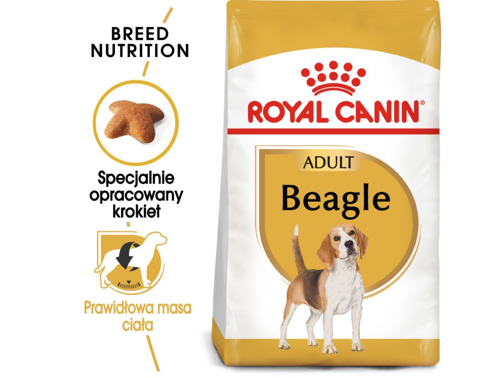 ROYAL CANIN Beagle Adult karma sucha dla psów dorosłych rasy beagle 12 KG