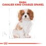 ROYAL CANIN Cavalier King Charles Spaniel Adult karma sucha dla szczeniąt do 10 miesiąca, rasy cavalier king charles spaniel 1,5 KG