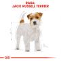 ROYAL CANIN Jack Russell Terrier Adult karma sucha dla psów dorosłych rasy jack russel terrier 7,5 KG