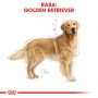 ROYAL CANIN Golden Retriever Adult karma sucha dla psów dorosłych rasy golden retriever 12 KG