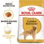 ROYAL CANIN Golden Retriever Adult karma sucha dla psów dorosłych rasy golden retriever 12 KG