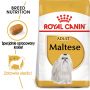 ROYAL CANIN Maltese Adult karma sucha dla psów dorosłych rasy maltańczyk 0,5 KG