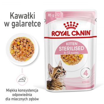 ROYAL CANIN Kitten Sterilised w galaretce karma mokra w galaretce dla kociąt do 12 miesiąca życia, sterylizowanych 85 G