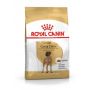 ROYAL CANIN Great Dane Adult karma sucha dla psów dorosłych rasy dog niemiecki 12 KG