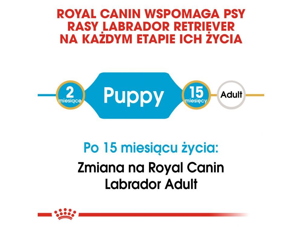 ROYAL CANIN LABRADOR RETRIEVER PUPPY KARMA SUCHA DLA SZCZENIĄT DO 15 MIESIĄCA, RASY LABRADOR RETRIEVER
