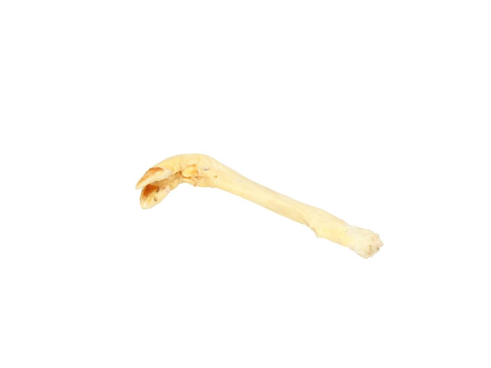 ABAKUS NOGA SARNY BIAŁA 1SZT