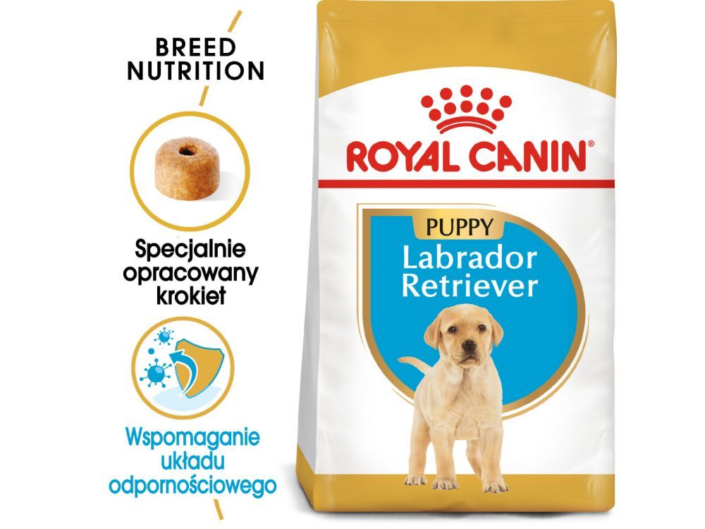 ROYAL CANIN LABRADOR RETRIEVER PUPPY KARMA SUCHA DLA SZCZENIĄT DO 15 MIESIĄCA, RASY LABRADOR RETRIEVER