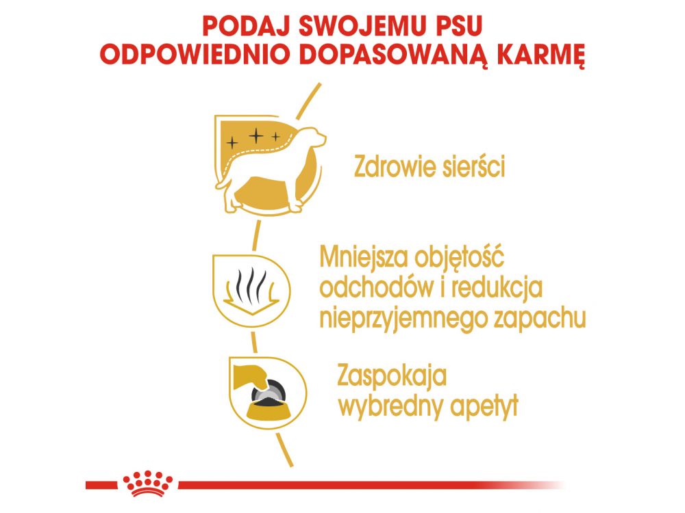 ROYAL CANIN Maltese Adult karma sucha dla psów dorosłych rasy maltańczyk 0,5 KG