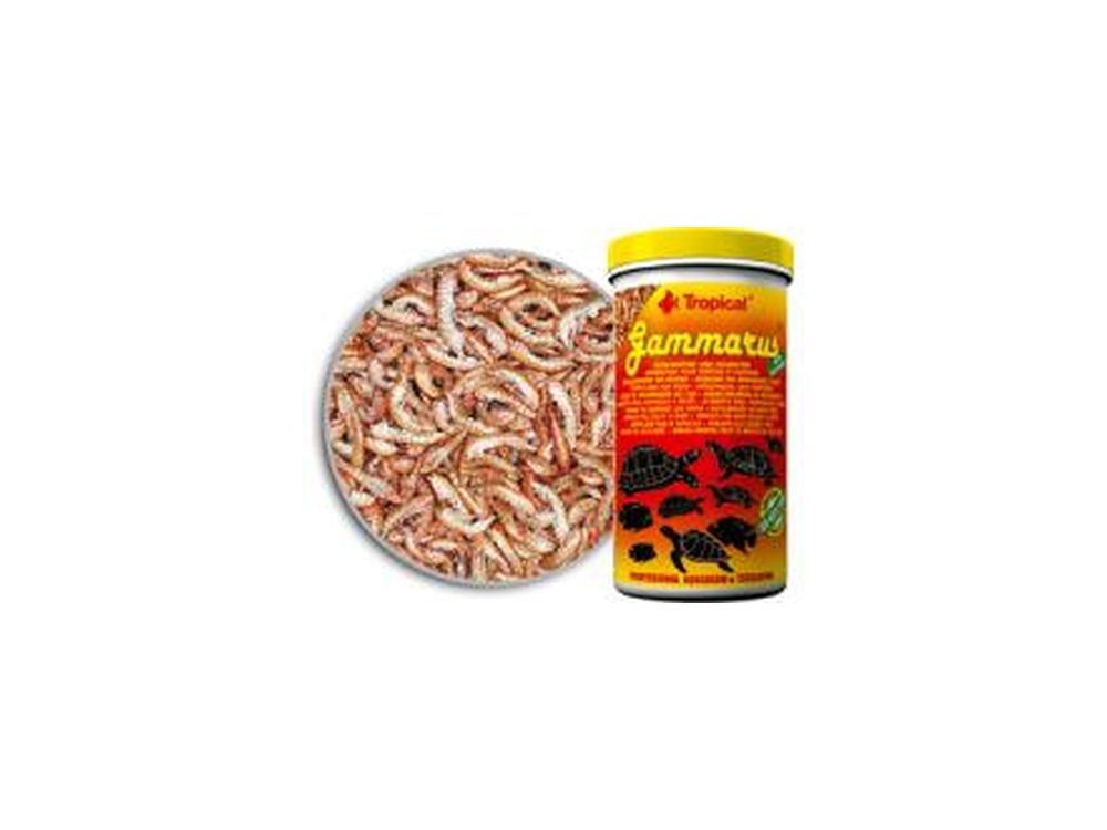 TROPICAL GAMMARUS 12G   00301