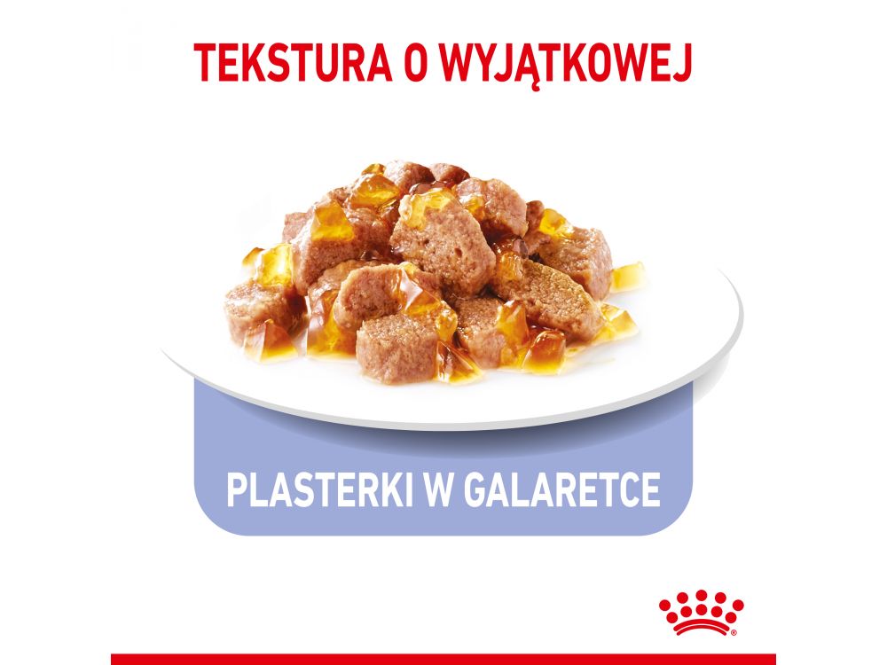 ROYAL CANIN CAT APPETITE CONTROL W GALARETCE 85G SASZETKA