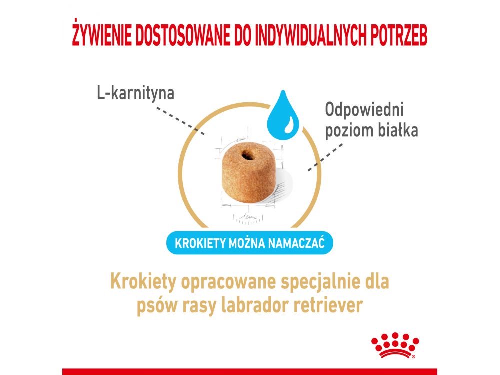 ROYAL CANIN LABRADOR RETRIEVER ADULT KARMA SUCHA DLA PSÓW DOROSŁYCH RASY LABRADOR RETRIEVER, POWYŻEJ 5 ROKU ŻYCIA 12 KG