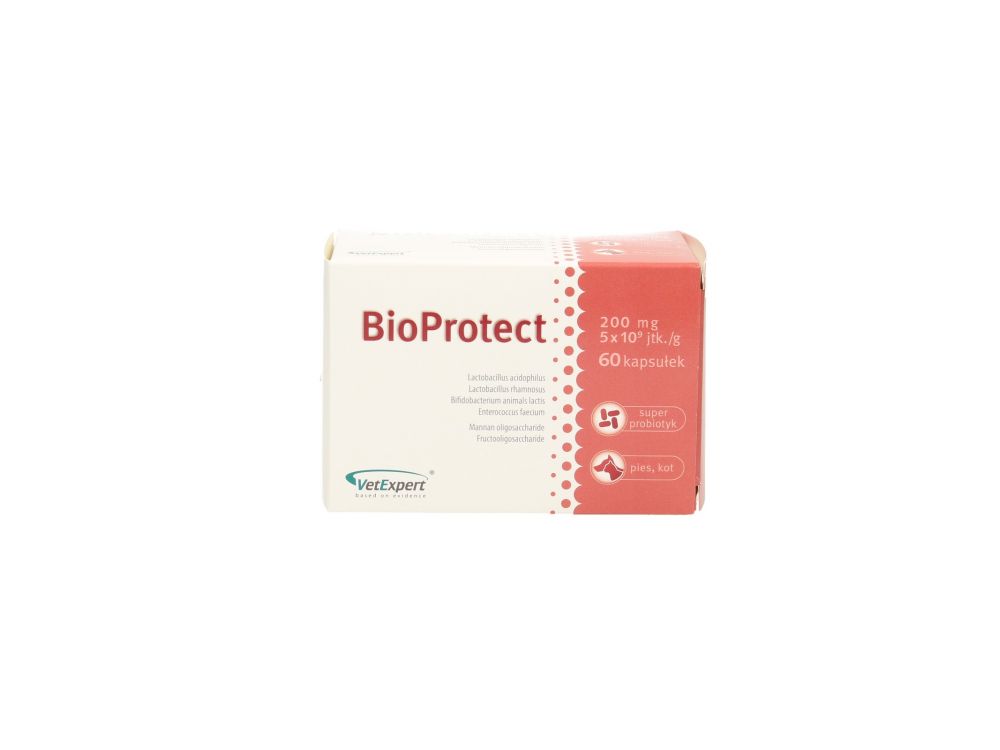 BIOPROTECT 60 KAPS.
