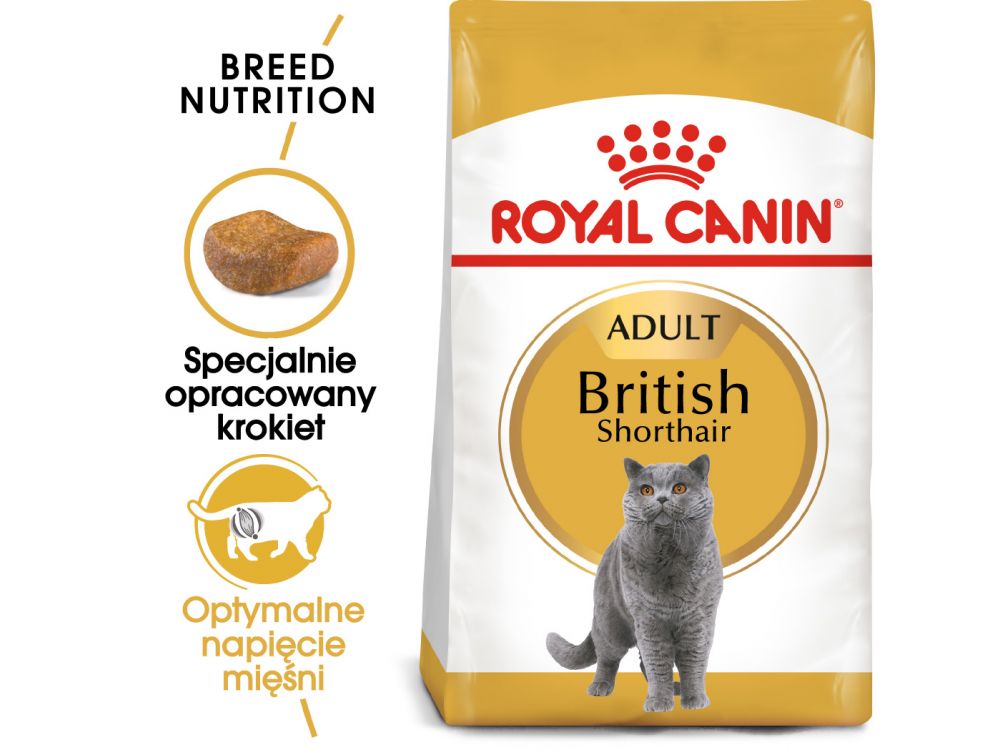 ROYAL CANIN BRITISH SHORTHAIR KARMA SUCHA DLA KOTÓW DOROSŁYCH RASY BRYTYJSKI KRÓTKOWŁOSY 10 KG
