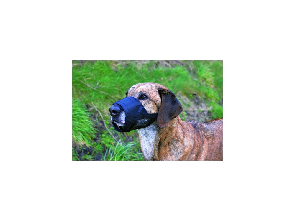 TRIXIE KAGANIEC NYLONOWY Z SIATKĄ 4 (L) 20-27CM 19264