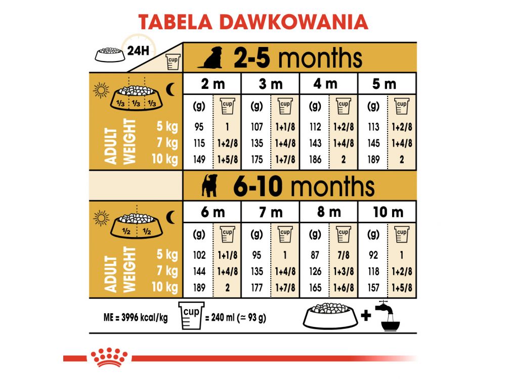 ROYAL CANIN JACK RUSSELL TERRIER PUPPY  KARMA SUCHA DLA SZCZENIĄT DO 10 MIESIĄCA, RASY JACK RUSSEL TERRIER 0,5 KG