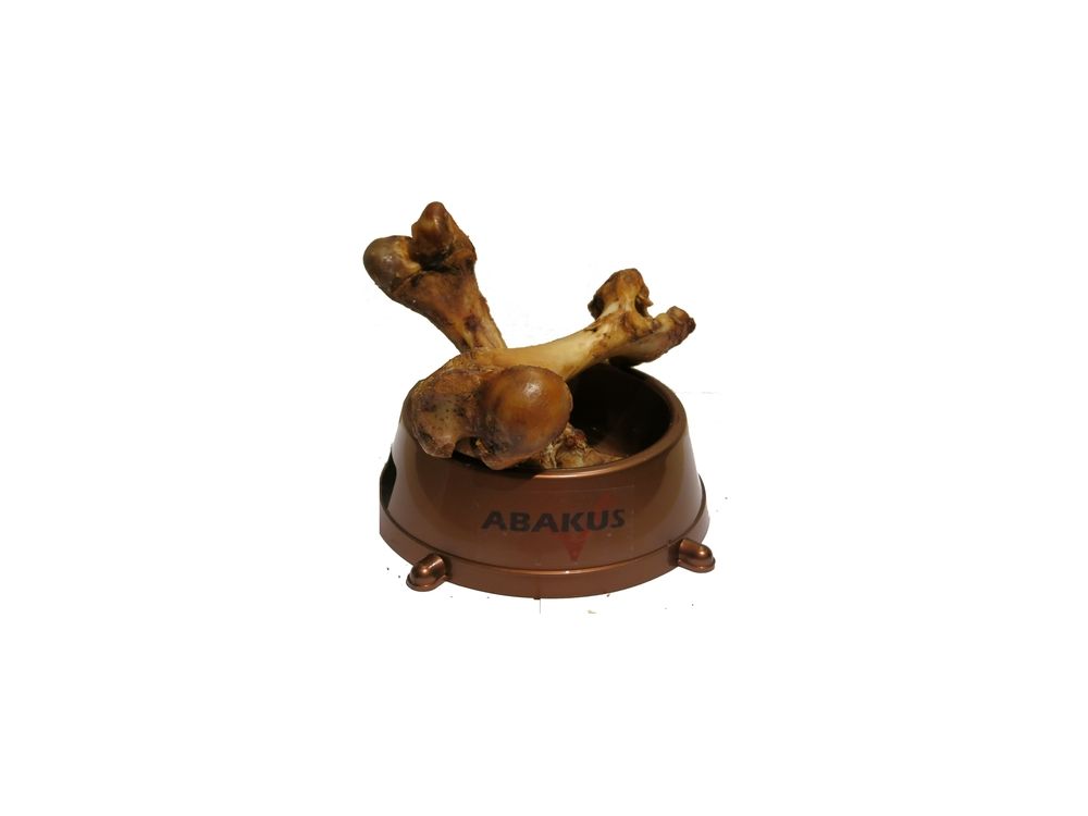 ABAKUS KOŚĆ MAŁA WIEPRZOWA NATURALNA