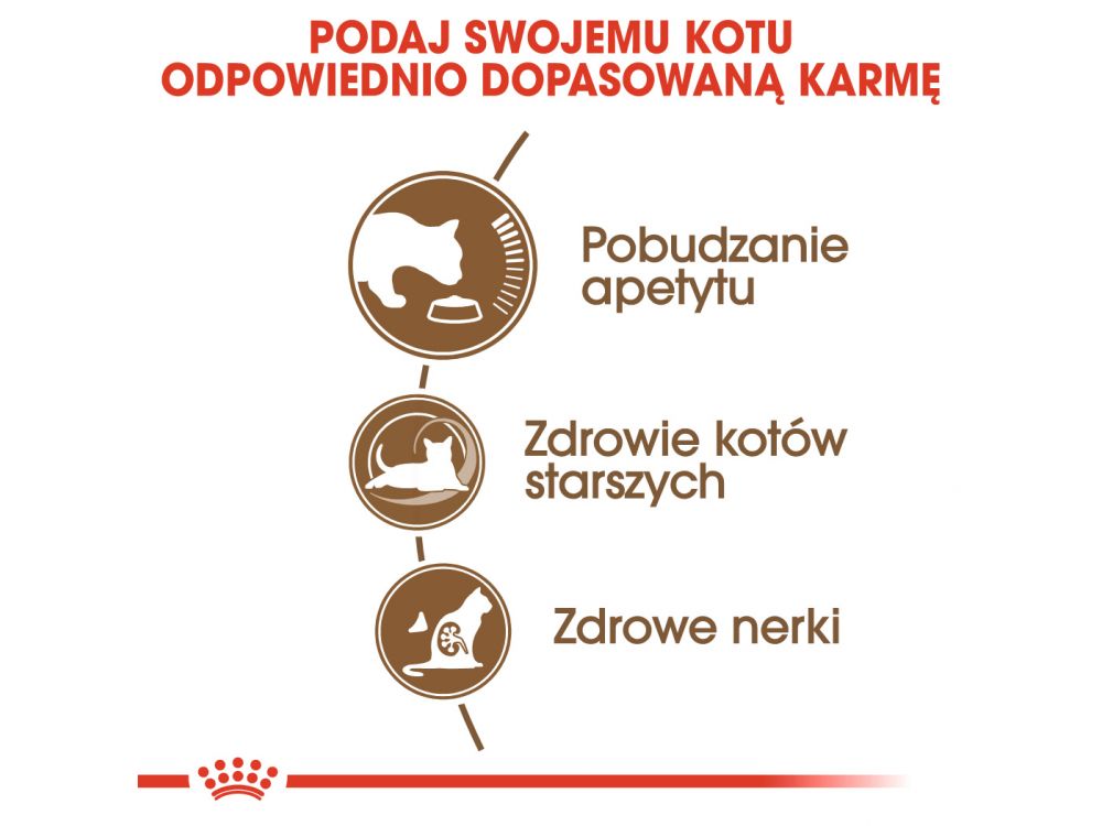 ROYAL CANIN Ageing +12 karma sucha dla kotów dojrzałych 0,4 KG