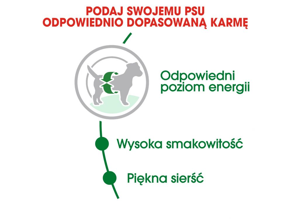 ROYAL CANIN Mini Adult karma sucha dla psów dorosłych, ras małych 4 KG