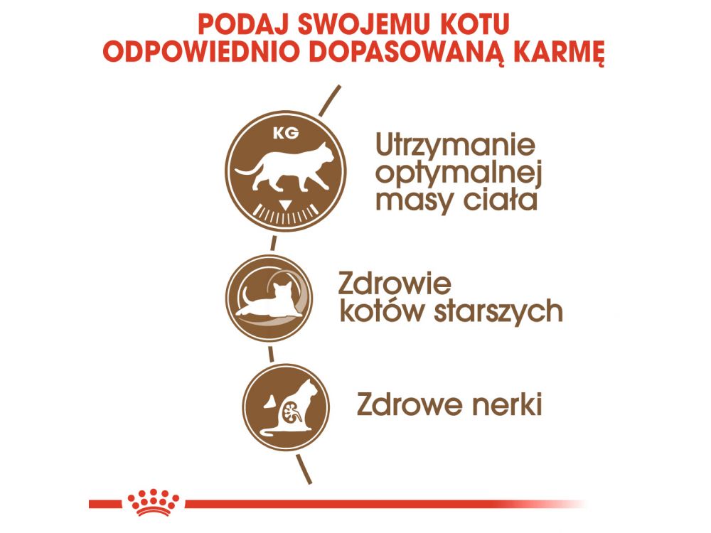 ROYAL CANIN AGEING +12 KARMA SUCHA DLA KOTÓW DOJRZAŁYCH, STERYLIZOWANYCH 4 KG
