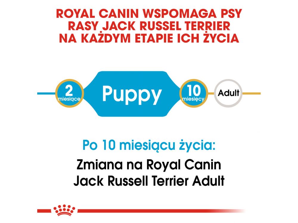 ROYAL CANIN JACK RUSSELL TERRIER PUPPY  KARMA SUCHA DLA SZCZENIĄT DO 10 MIESIĄCA, RASY JACK RUSSEL TERRIER 0,5 KG