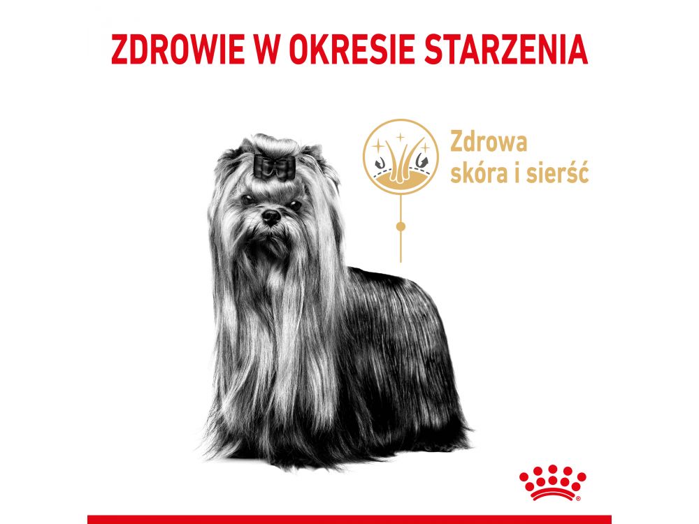 ROYAL CANIN YORKSHIRE TERRIER ADULT KARMA SUCHA DLA PSÓW DOROSŁYCH RASY YORKSHIRE TERRIER, POWYŻEJ 8 ROKU ŻYCIA 3 KG