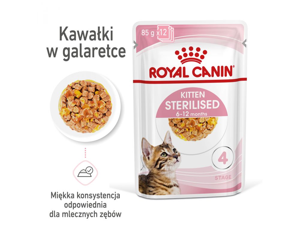 ROYAL CANIN Kitten Sterilised w galaretce karma mokra w galaretce dla kociąt do 12 miesiąca życia, sterylizowanych 85 G