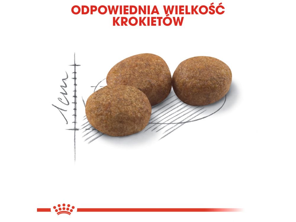 ROYAL CANIN Sterilised karma sucha dla kotów dorosłych, sterylizowanych 2 KG
