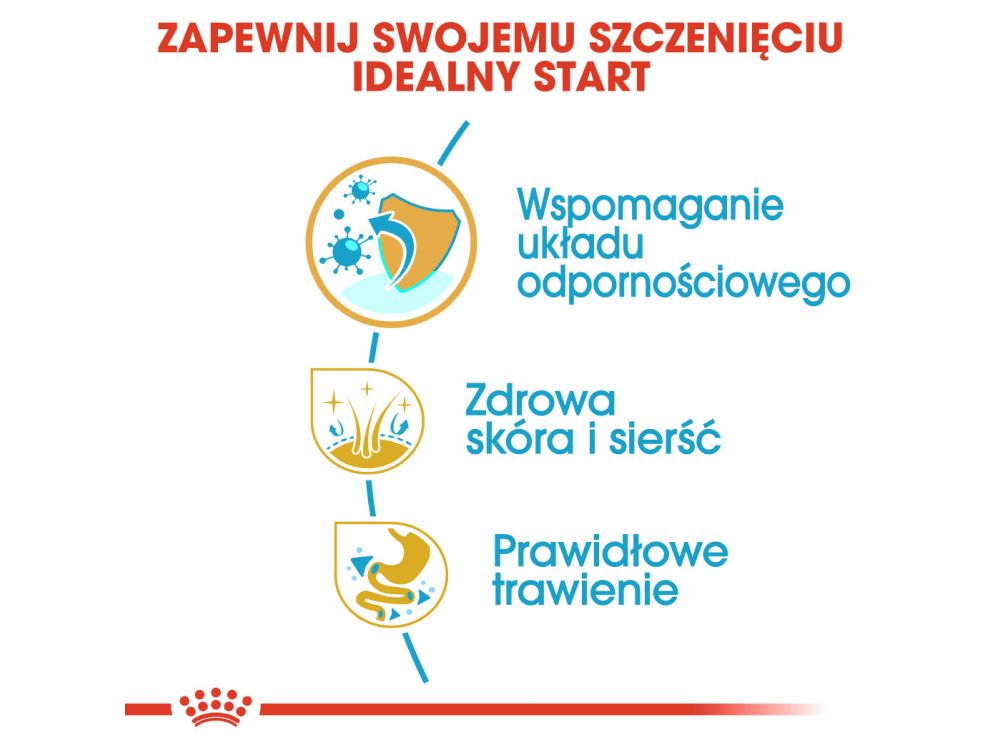 ROYAL CANIN GOLDEN RETRIEVER PUPPY KARMA SUCHA DLA SZCZENIĄT DO 15 MIESIĄCA, RASY GOLDEN RETRIEVER 12 KG