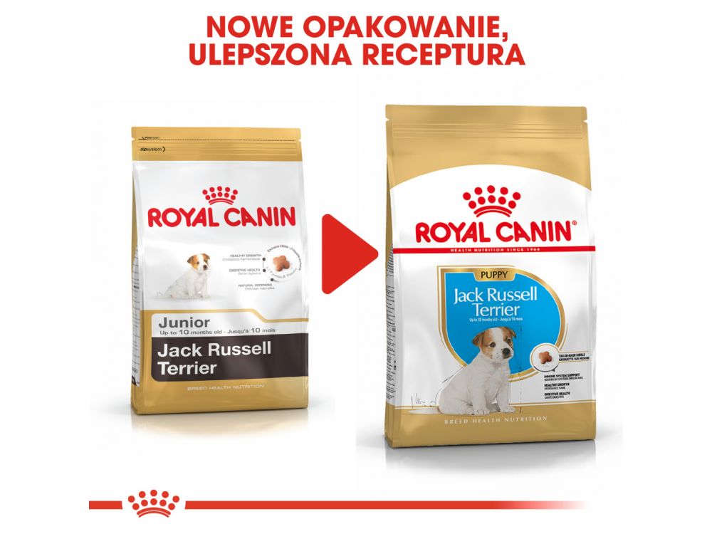 ROYAL CANIN JACK RUSSELL TERRIER PUPPY KARMA SUCHA DLA SZCZENIĄT DO 10 MIESIĄCA, RASY JACK RUSSEL TERRIER 1,5 KG