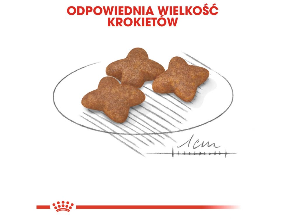 ROYAL CANIN Mini Adult karma sucha dla psów dorosłych, ras małych 4 KG