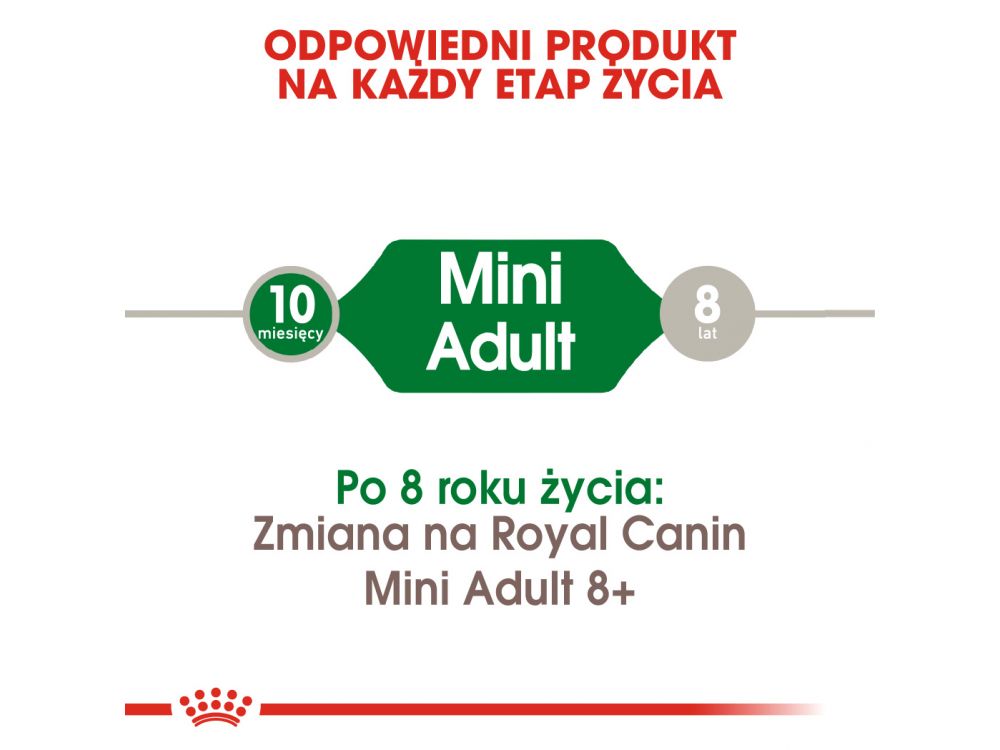 ROYAL CANIN Mini Adult karma sucha dla psów dorosłych, ras małych 4 KG