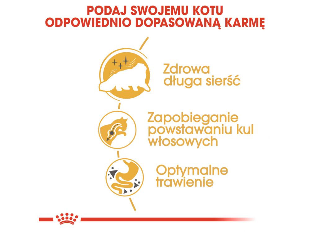 ROYAL CANIN PERSIAN ADULT KARMA SUCHA DLA KOTÓW DOROSŁYCH RASY PERSKIEJ 0,4 KG