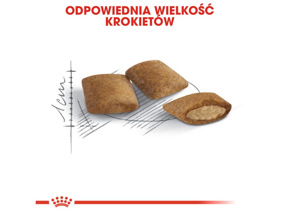 ROYAL CANIN Ageing +12 karma sucha dla kotów dojrzałych 4 KG
