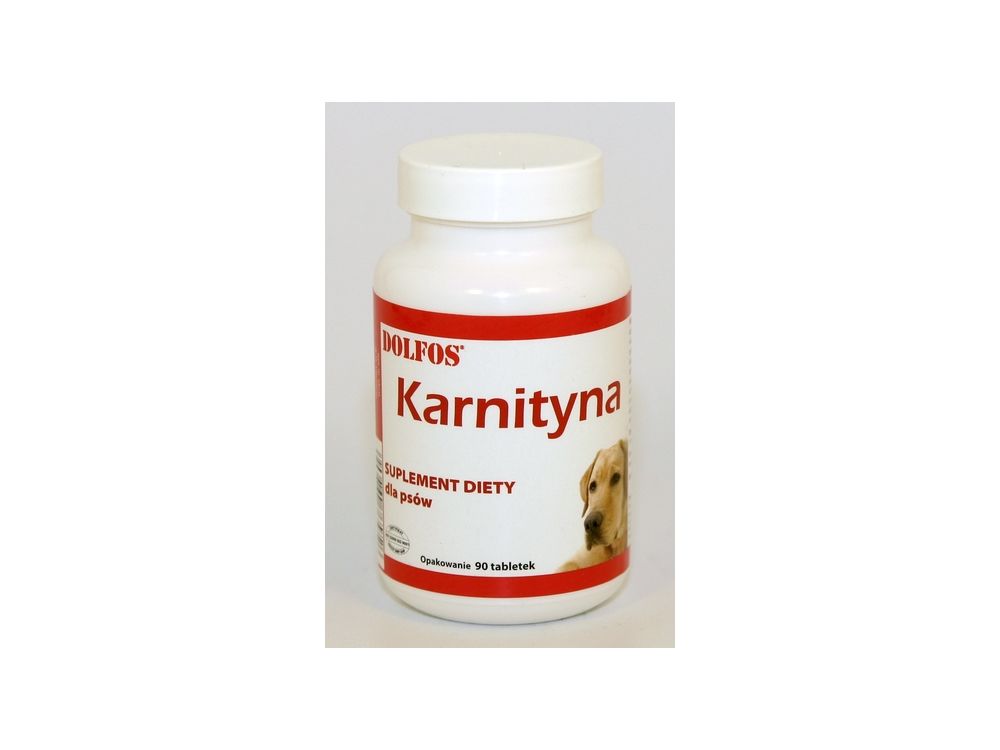 DOLFOS KARNITYNA 90 TABL. DOLVIT