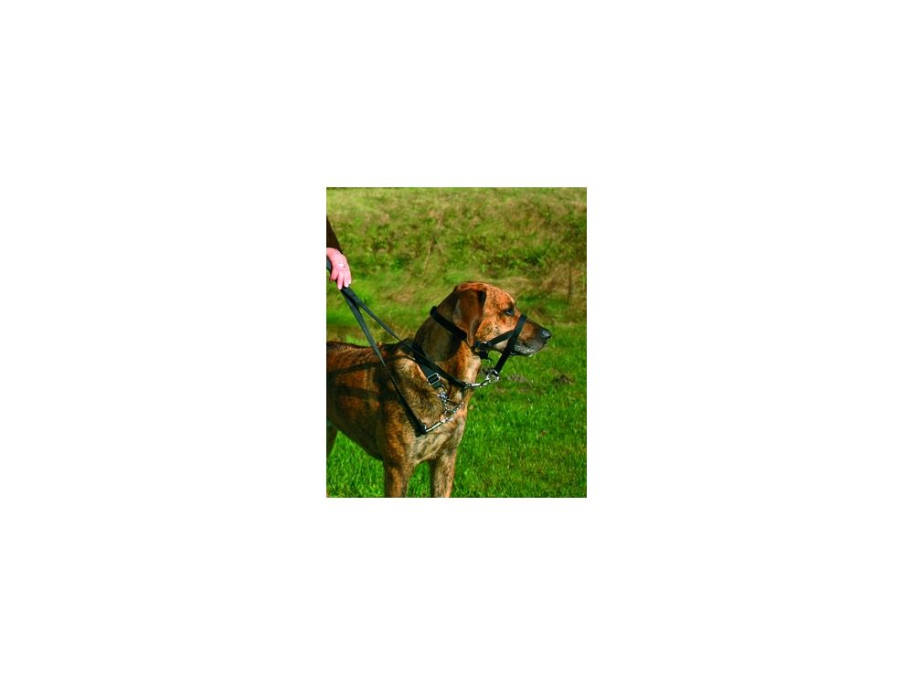TRIXIE UPRZĄŻ TOP TRAINER L 31CM 13004