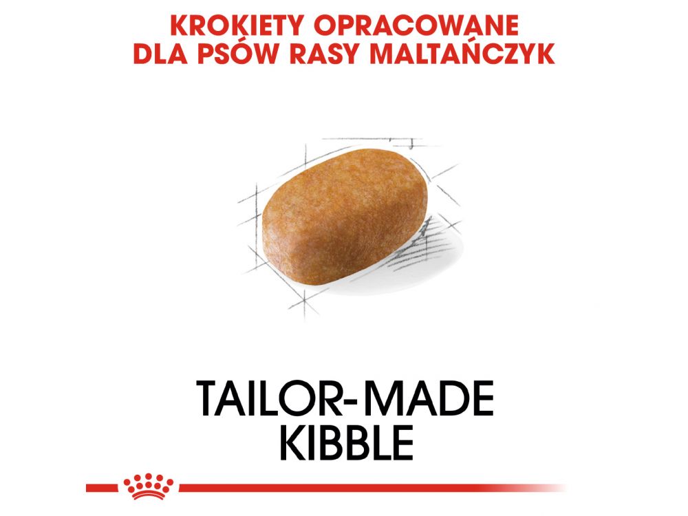 ROYAL CANIN Maltese Adult karma sucha dla psów dorosłych rasy maltańczyk 0,5 KG