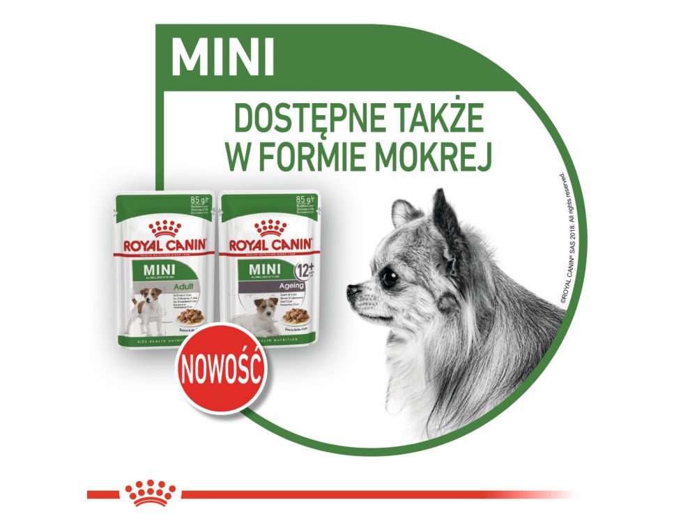 ROYAL CANIN Mini Adult karma sucha dla psów dorosłych, ras małych 4 KG