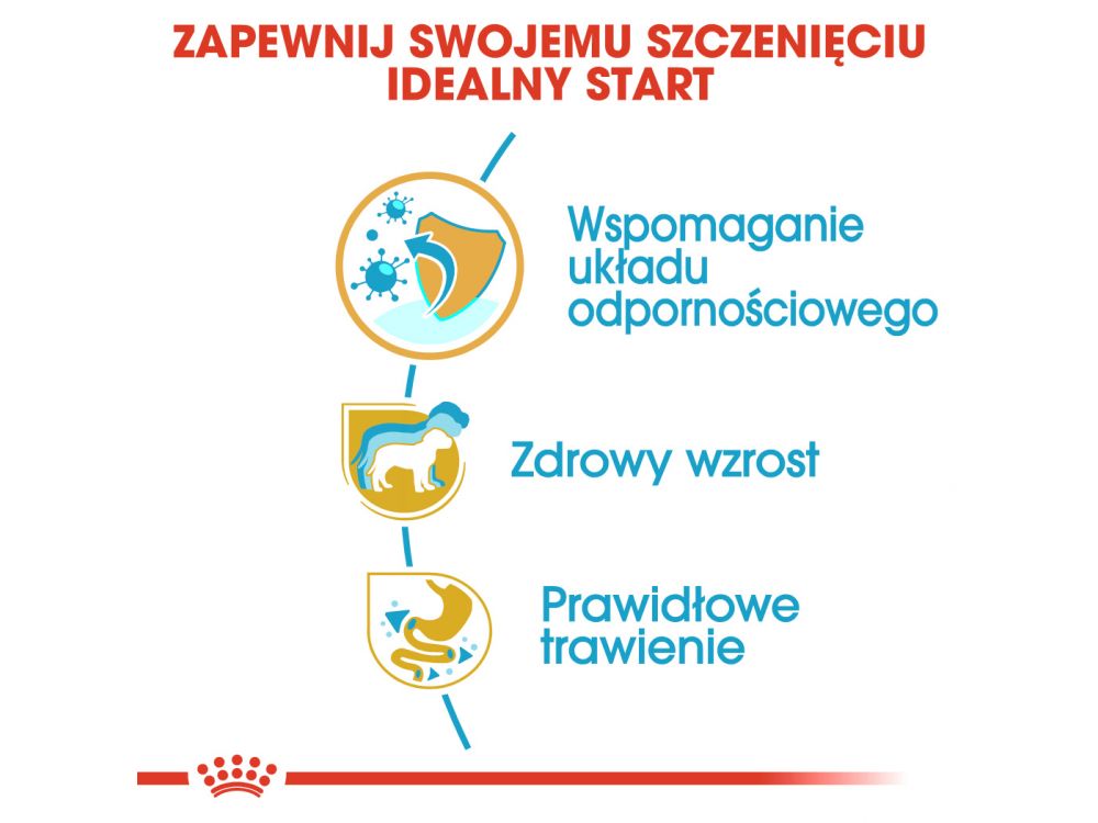 ROYAL CANIN JACK RUSSELL TERRIER PUPPY  KARMA SUCHA DLA SZCZENIĄT DO 10 MIESIĄCA, RASY JACK RUSSEL TERRIER 0,5 KG
