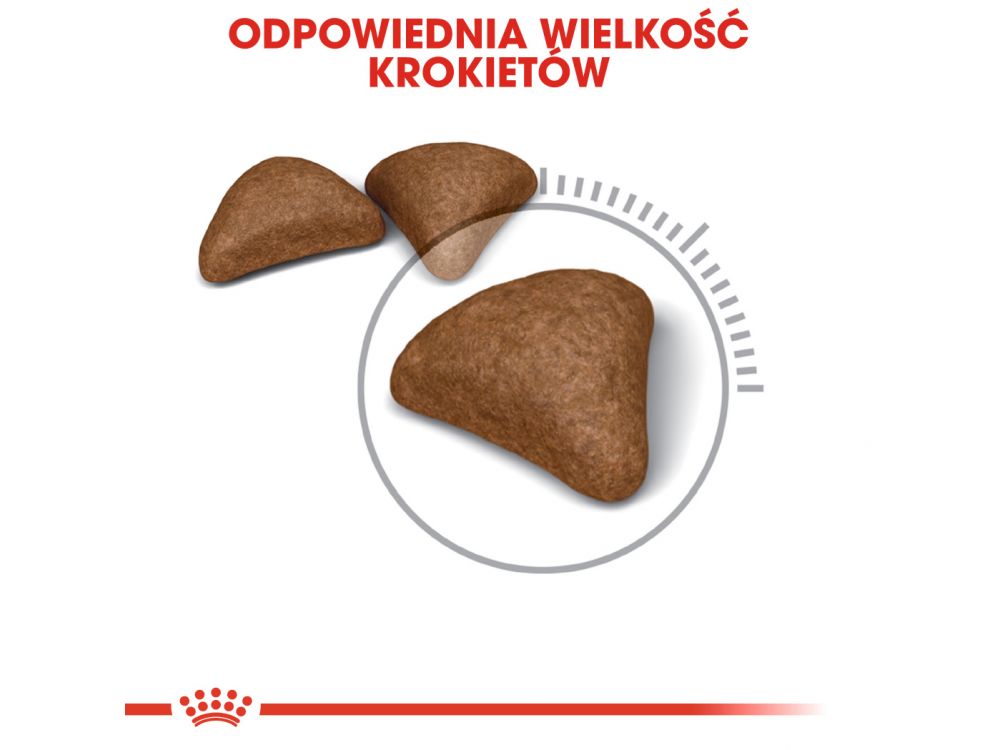 ROYAL CANIN Hairball Care karma sucha dla kotów dorosłych, eliminacja kul włosowych 10 KG