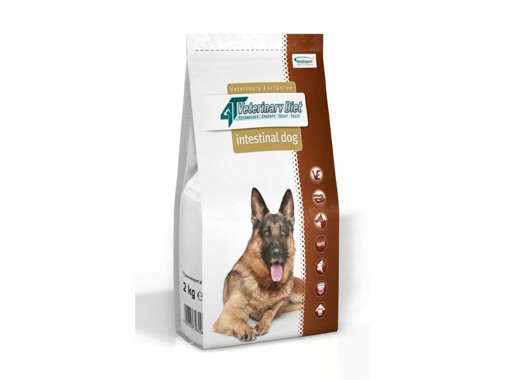 4T VETERINARY DIET DOG INTESTINAL  2 KG