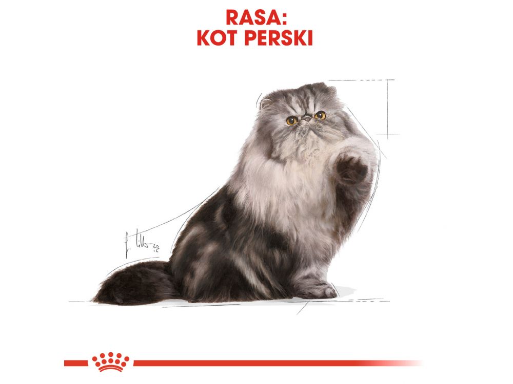 ROYAL CANIN PERSIAN ADULT KARMA SUCHA DLA KOTÓW DOROSŁYCH RASY PERSKIEJ 4 KG