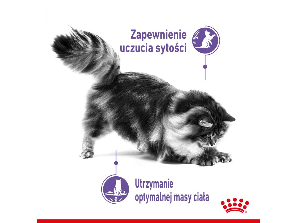 ROYAL CANIN CAT APPETITE CONTROL W GALARETCE 85G SASZETKA