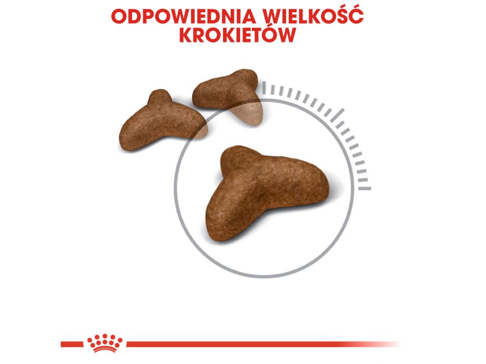 ROYAL CANIN Light Weight Care karma sucha dla kotów dorosłych, utrzymanie prawidłowej masy ciała 0,4 KG
