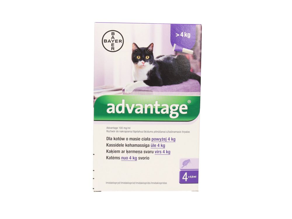 ADVANTAGE KOT 0,8 ML ( POW.4 KG)  ROZTWÓR DO NAKRAPIANIA